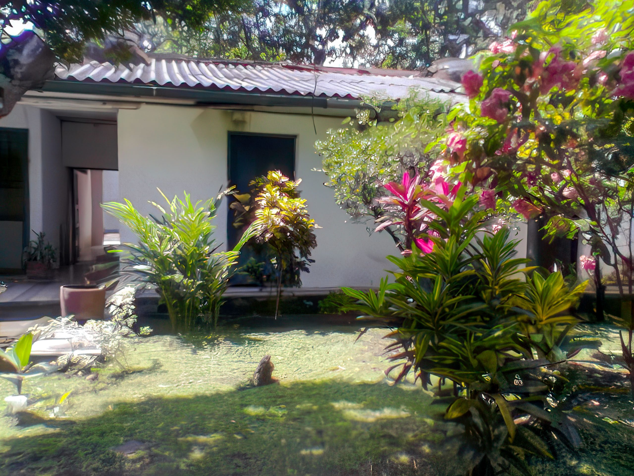 Zona del Predio 3