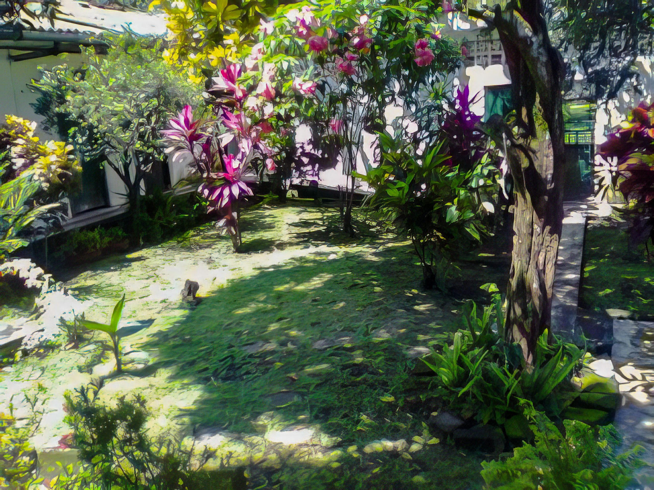 Zona del Predio 4