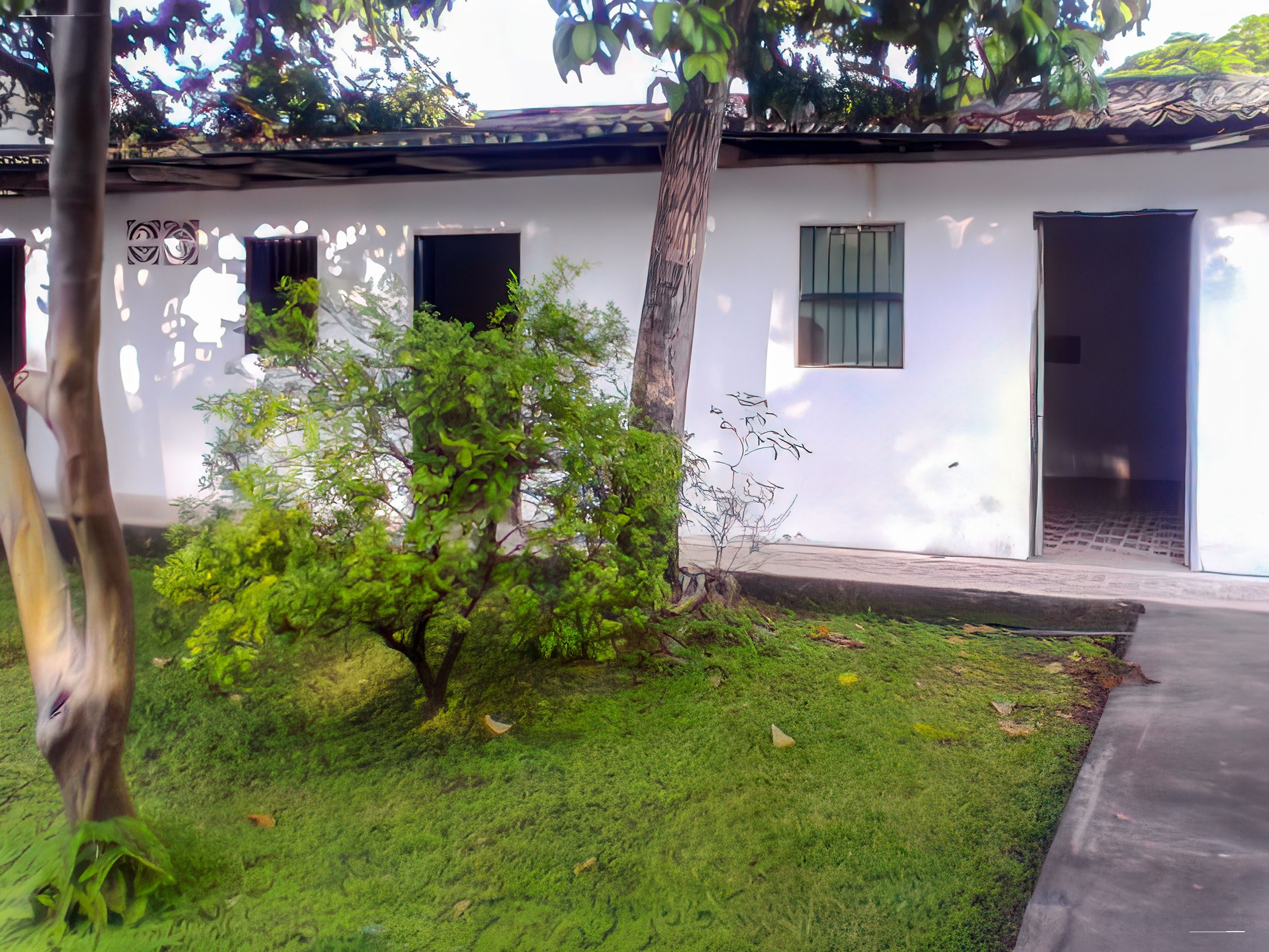 Zona del Predio 6