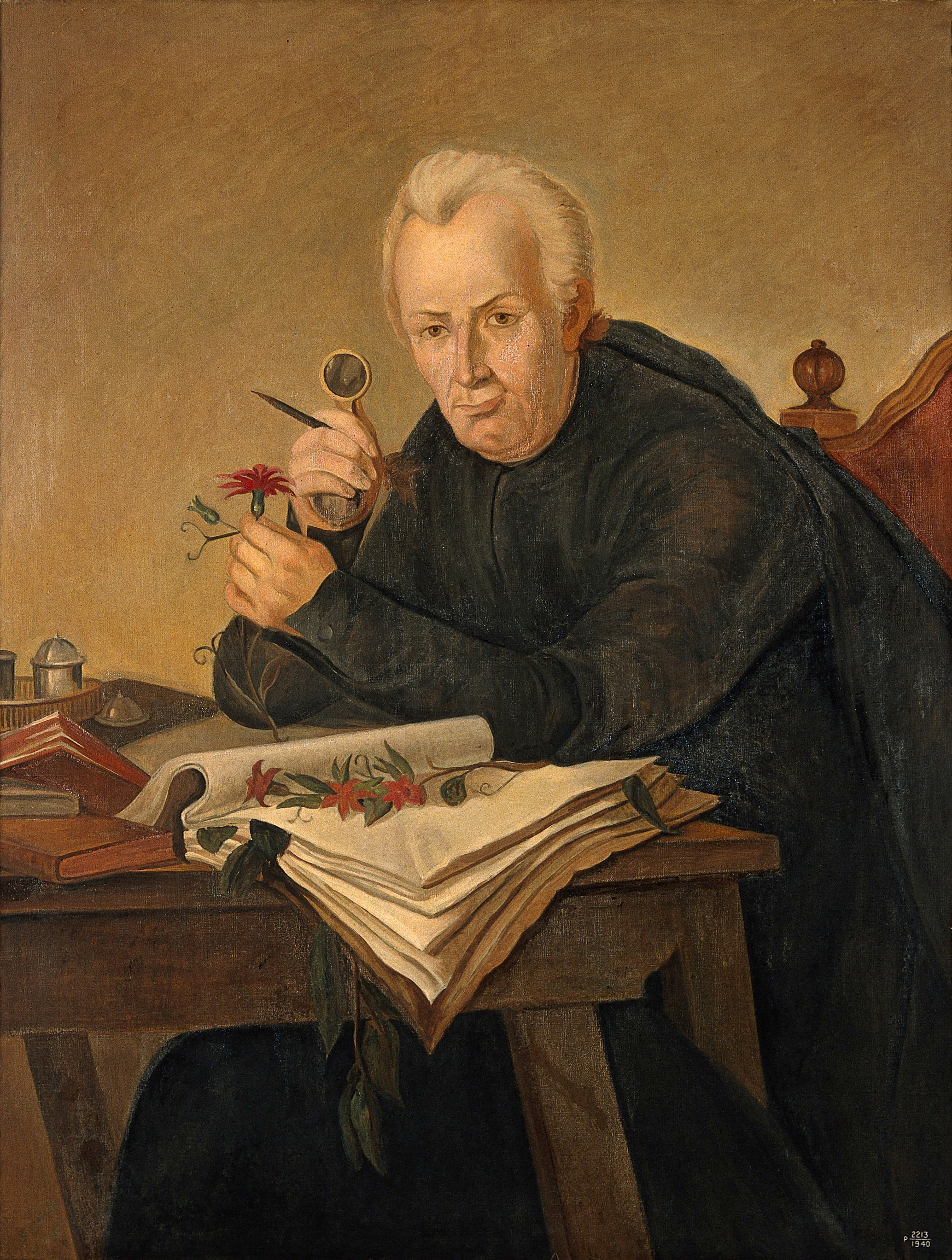 JOSE CELESTINO MUTIS: retrato aprobado 2