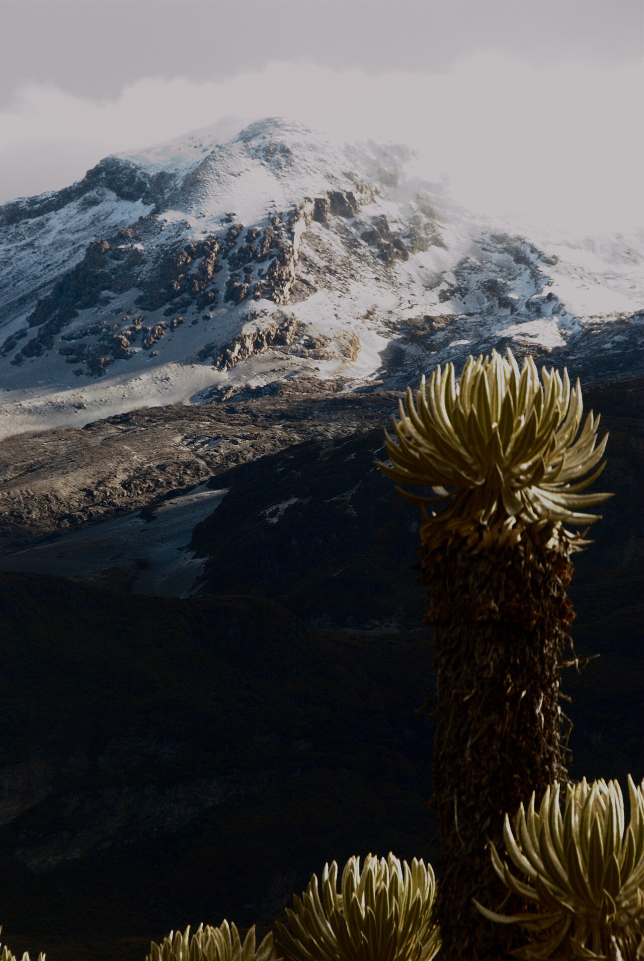 Volcán Nevado del Ruiz